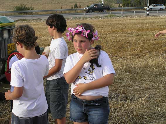 שלי עם החמוס